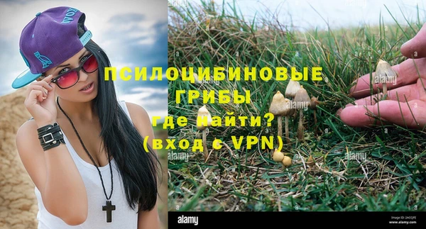 дмт Абдулино