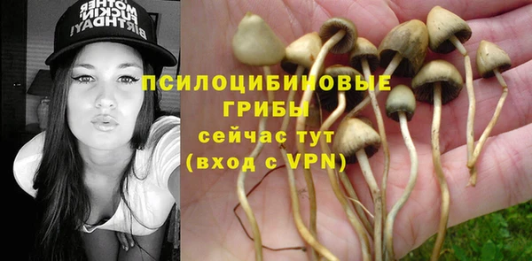спиды Алексеевка