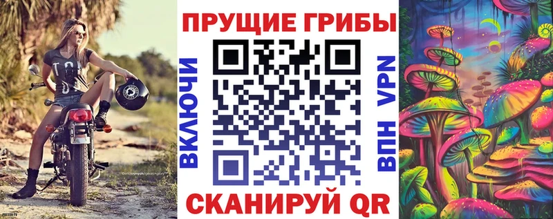 Галлюциногенные грибы Magic Shrooms  Карачев 